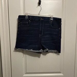 American Eagle Dark Blue Denim Short - Sz. 16
